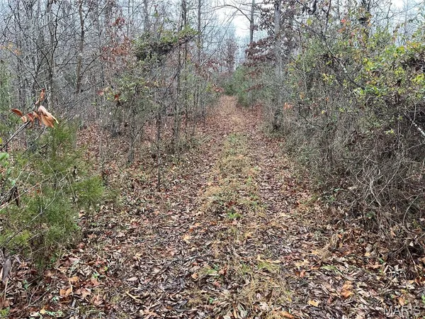 $214,000 | 244 County Road 244, Fredericktown, MO 63645