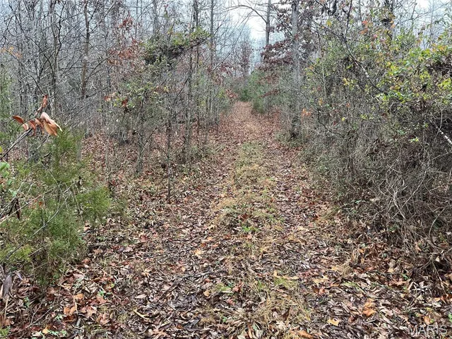 $214,000 | 244 County Road 244, Fredericktown, MO 63645