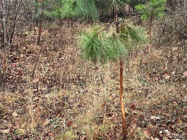 $214,000 | 244 County Road 244, Fredericktown, MO 63645