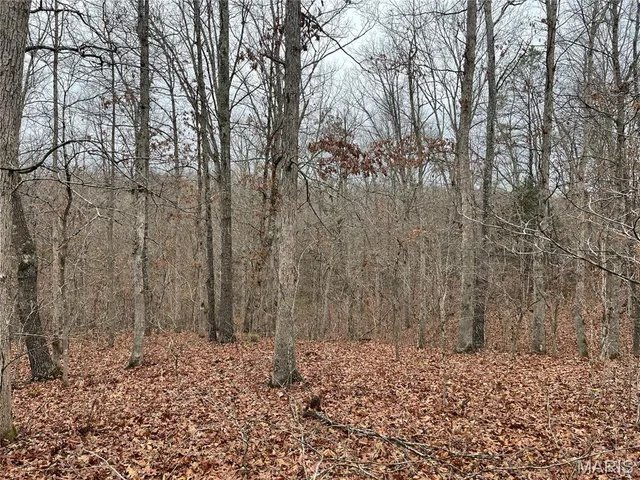 $214,000 | 244 County Road 244, Fredericktown, MO 63645