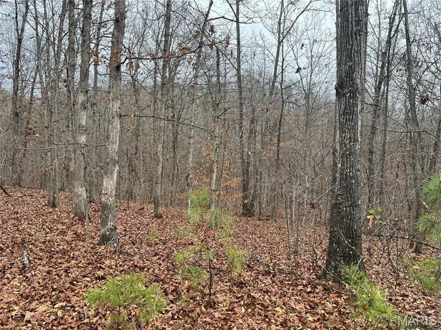 $214,000 | 244 County Road 244, Fredericktown, MO 63645