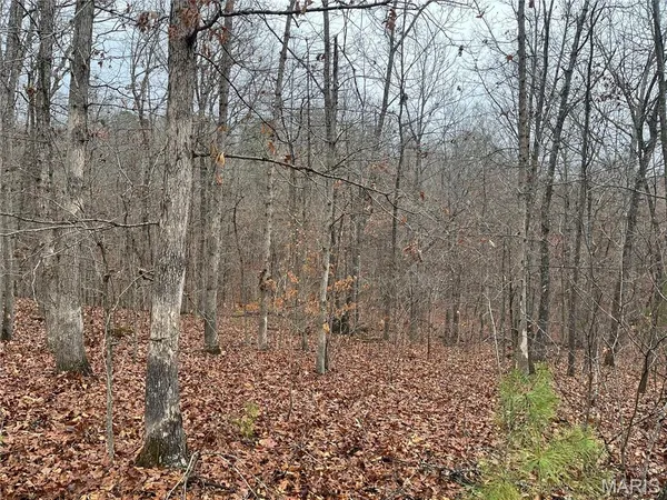 $214,000 | 244 County Road 244, Fredericktown, MO 63645