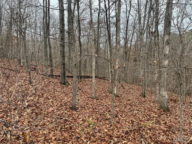 $214,000 | 244 County Road 244, Fredericktown, MO 63645