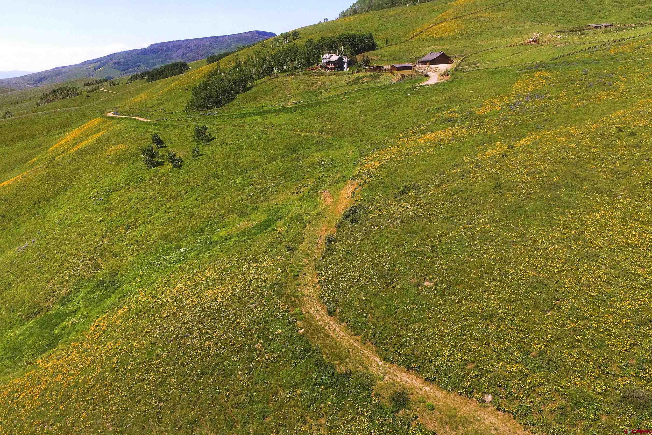 901 Red Mountain Road Almont, CO 81210 - Photo 11 of 12