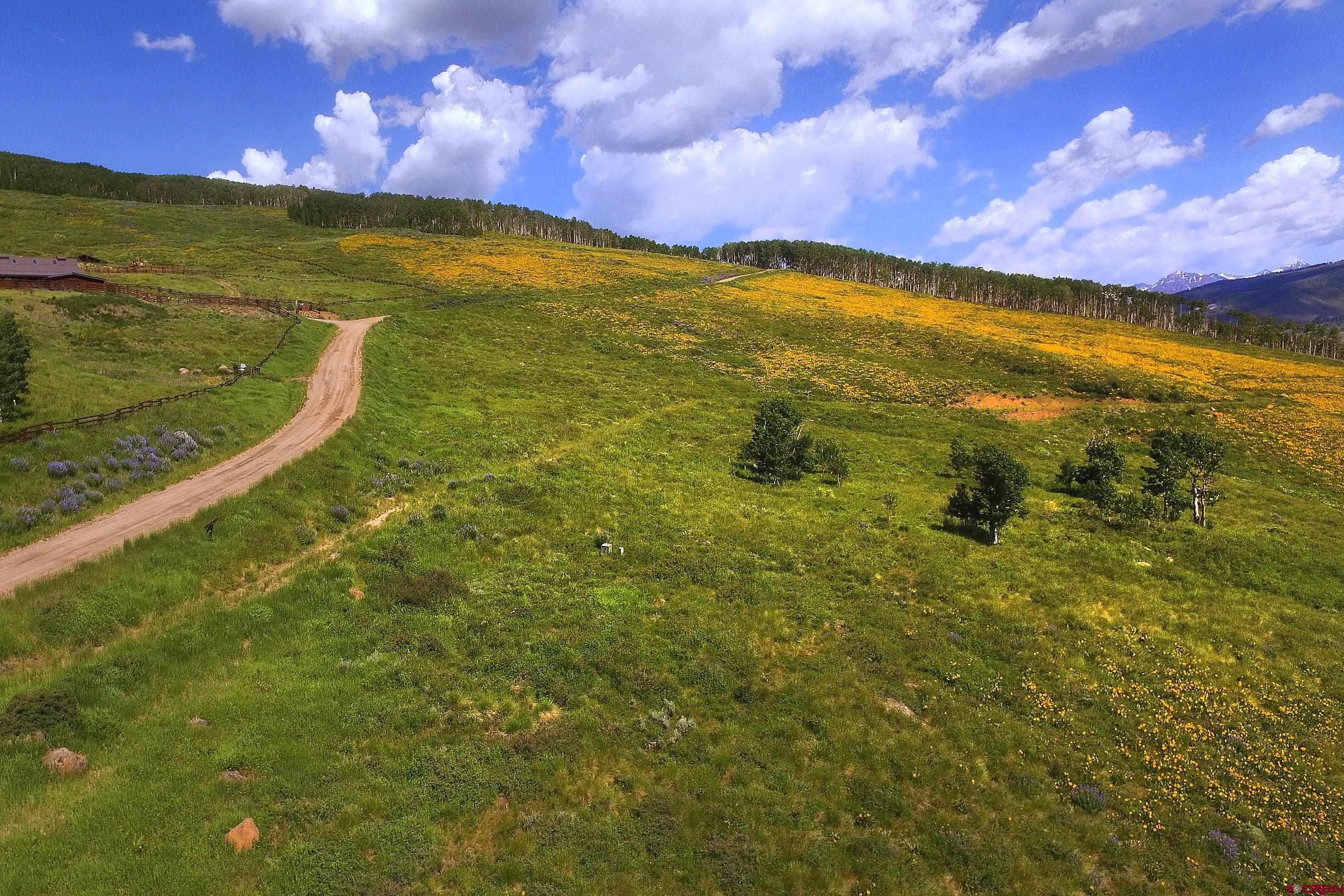 901 Red Mountain Road Almont, CO 81210 - Photo 2 of 12