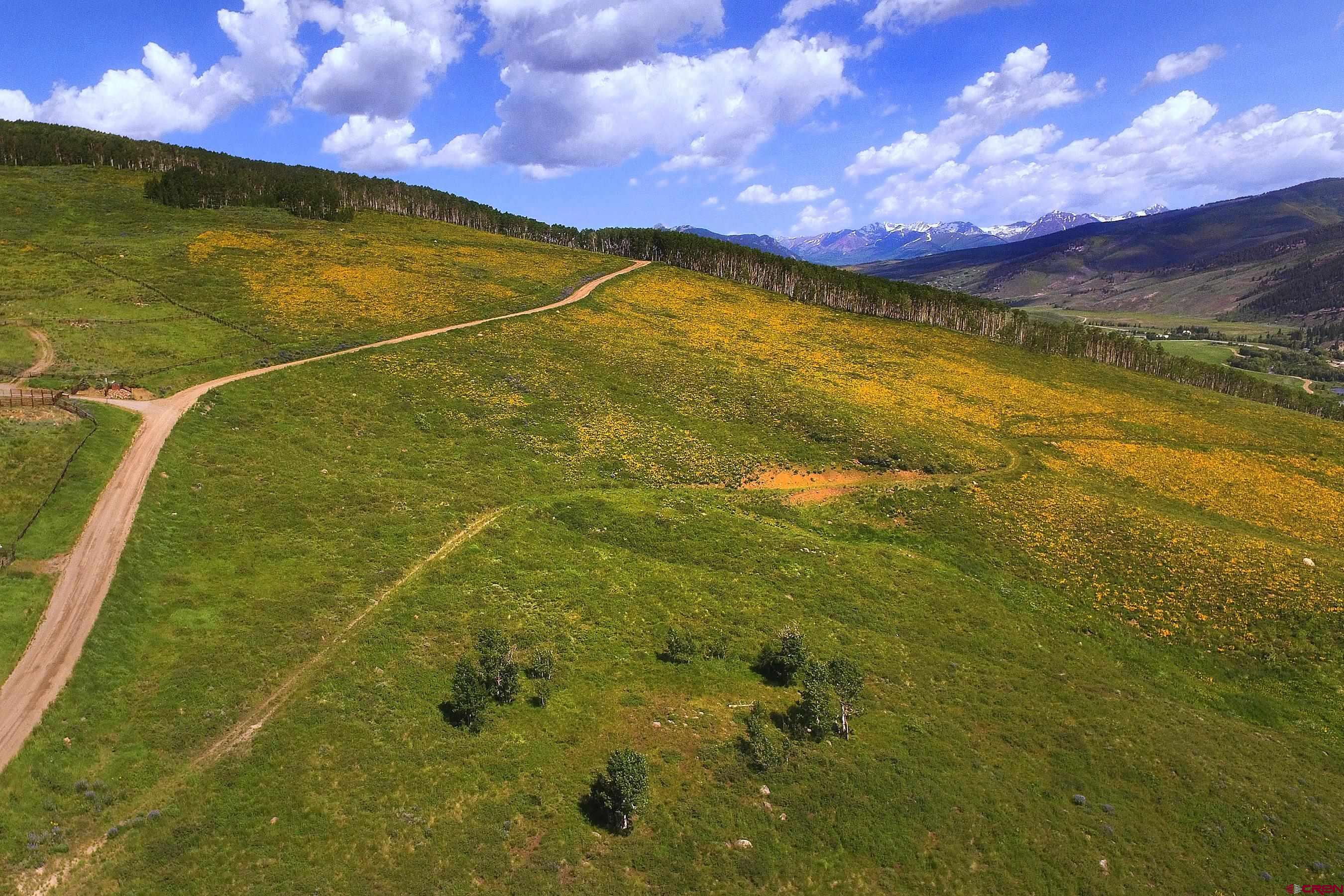 901 Red Mountain Road Almont, CO 81210 - Photo 3 of 12