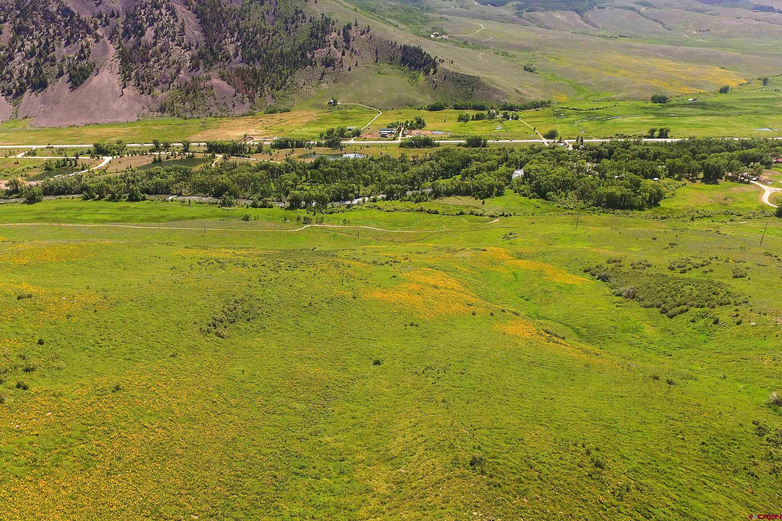 901 Red Mountain Road Almont, CO 81210 - Photo 4 of 12