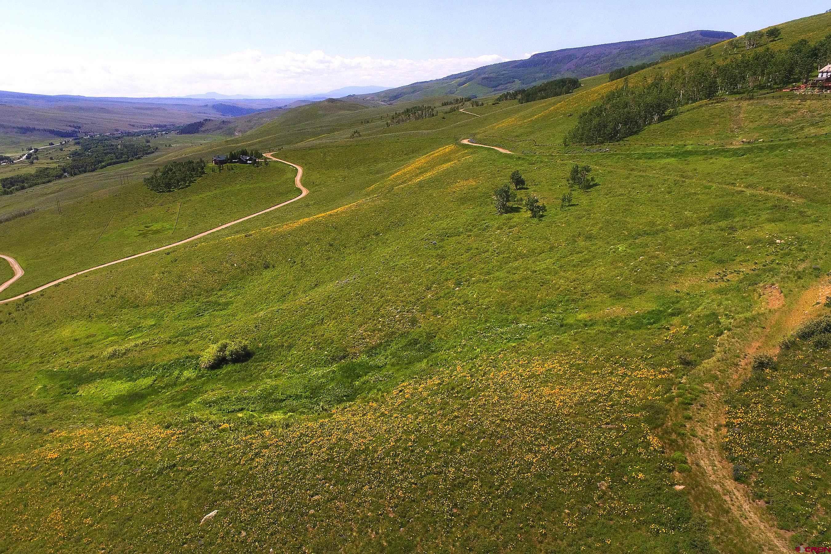 901 Red Mountain Road Almont, CO 81210 - Photo 5 of 12