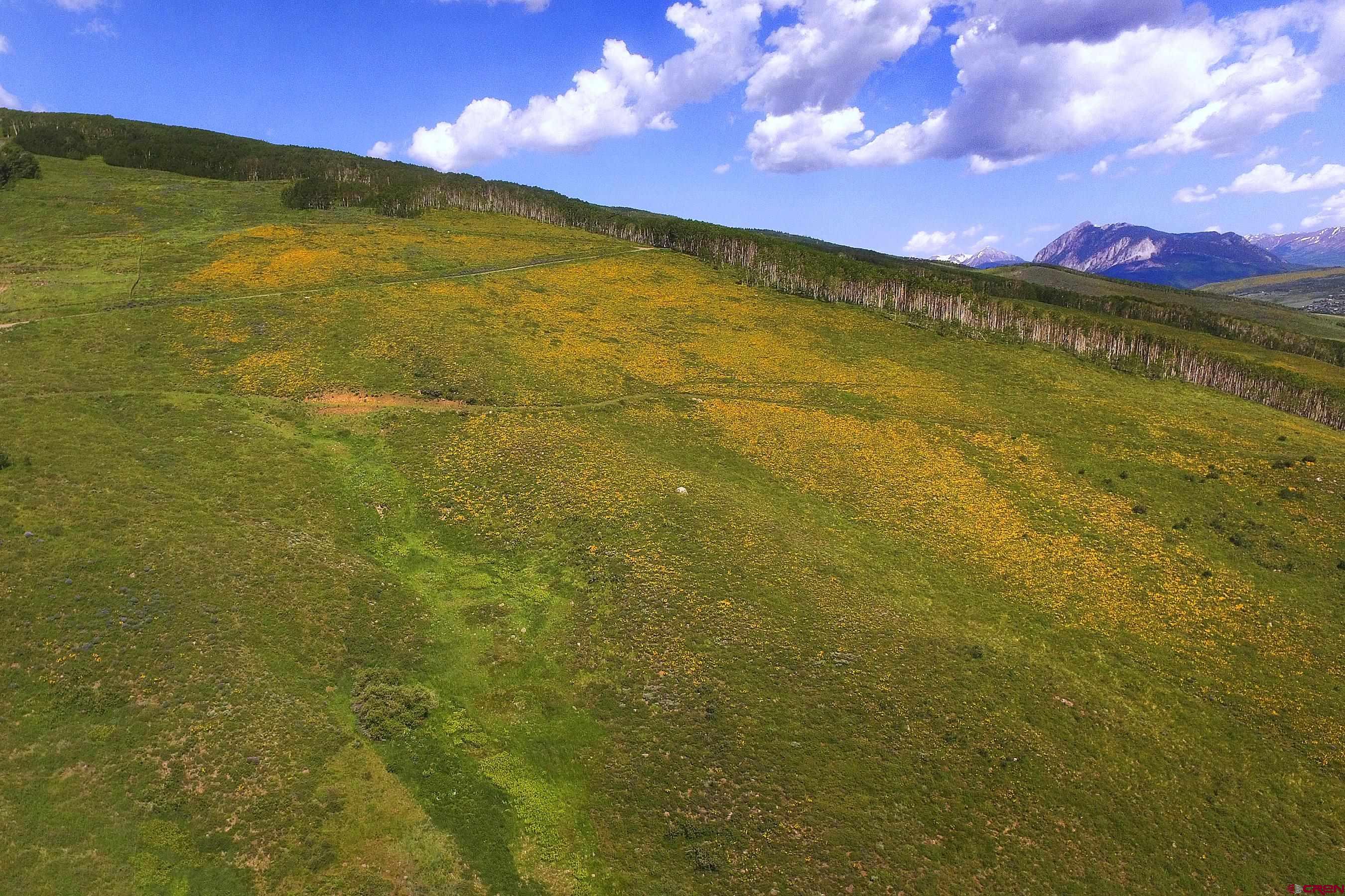 901 Red Mountain Road Almont, CO 81210 - Photo 6 of 12