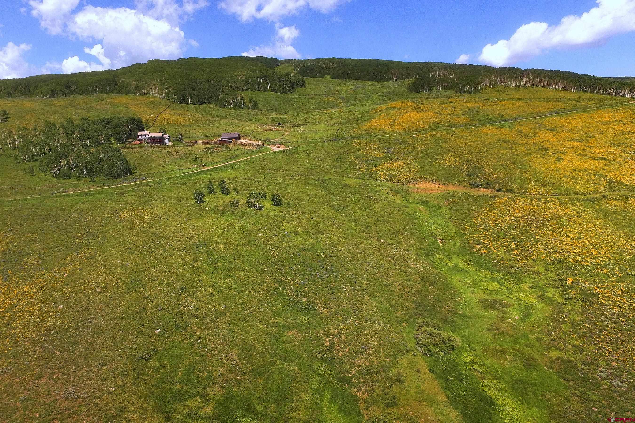 901 Red Mountain Road Almont, CO 81210 - Photo 7 of 12
