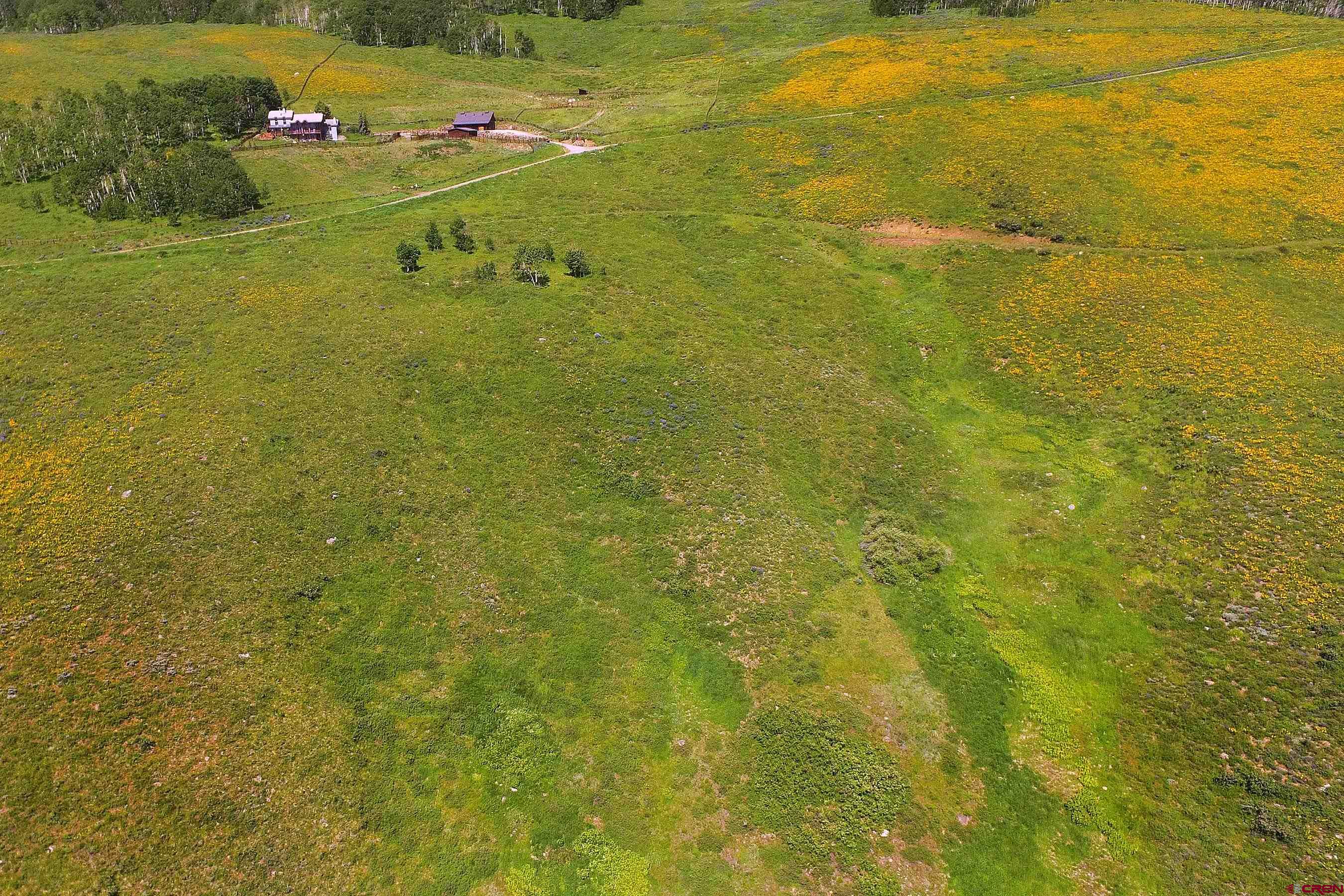 901 Red Mountain Road Almont, CO 81210 - Photo 8 of 12