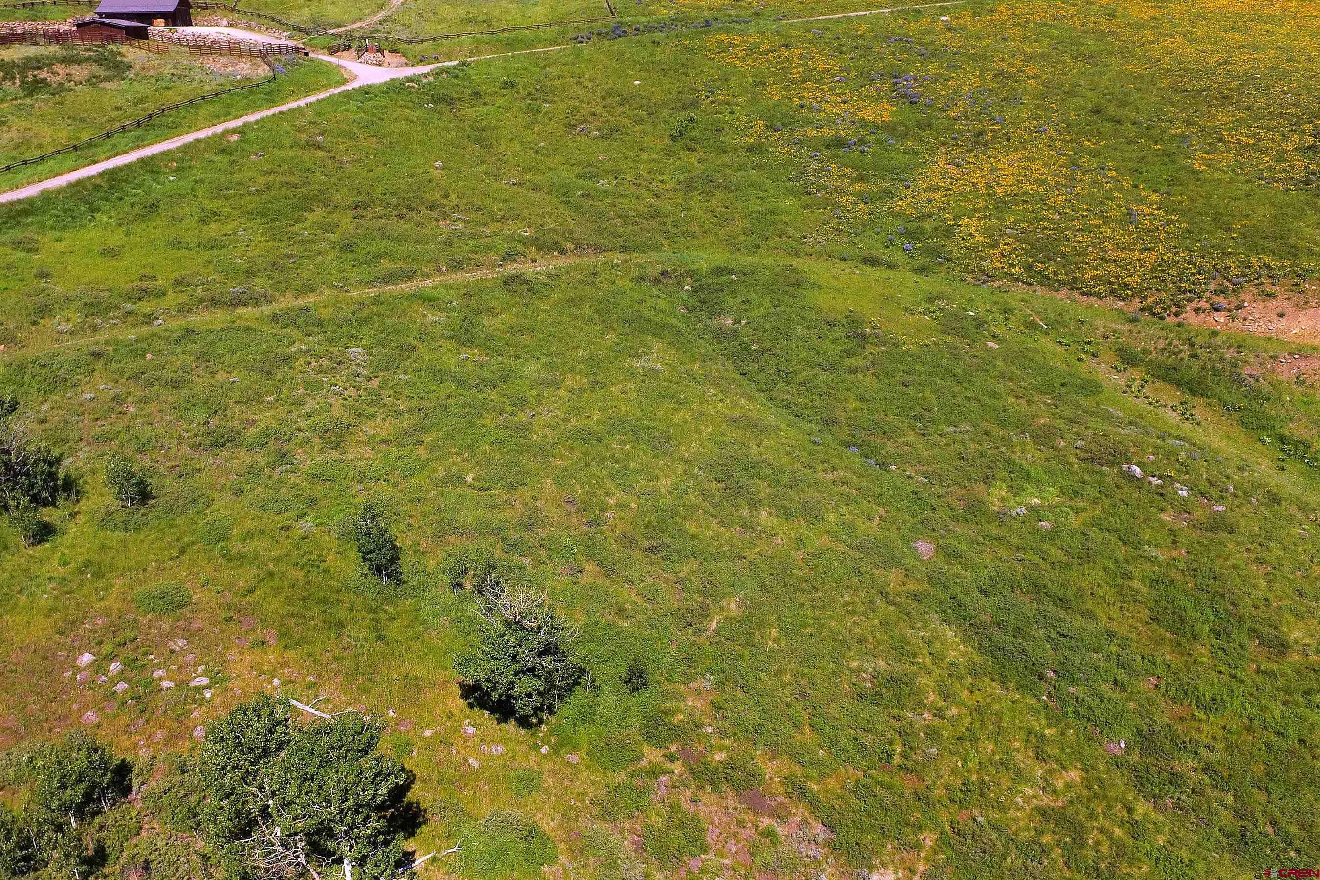 901 Red Mountain Road Almont, CO 81210 - Photo 9 of 12