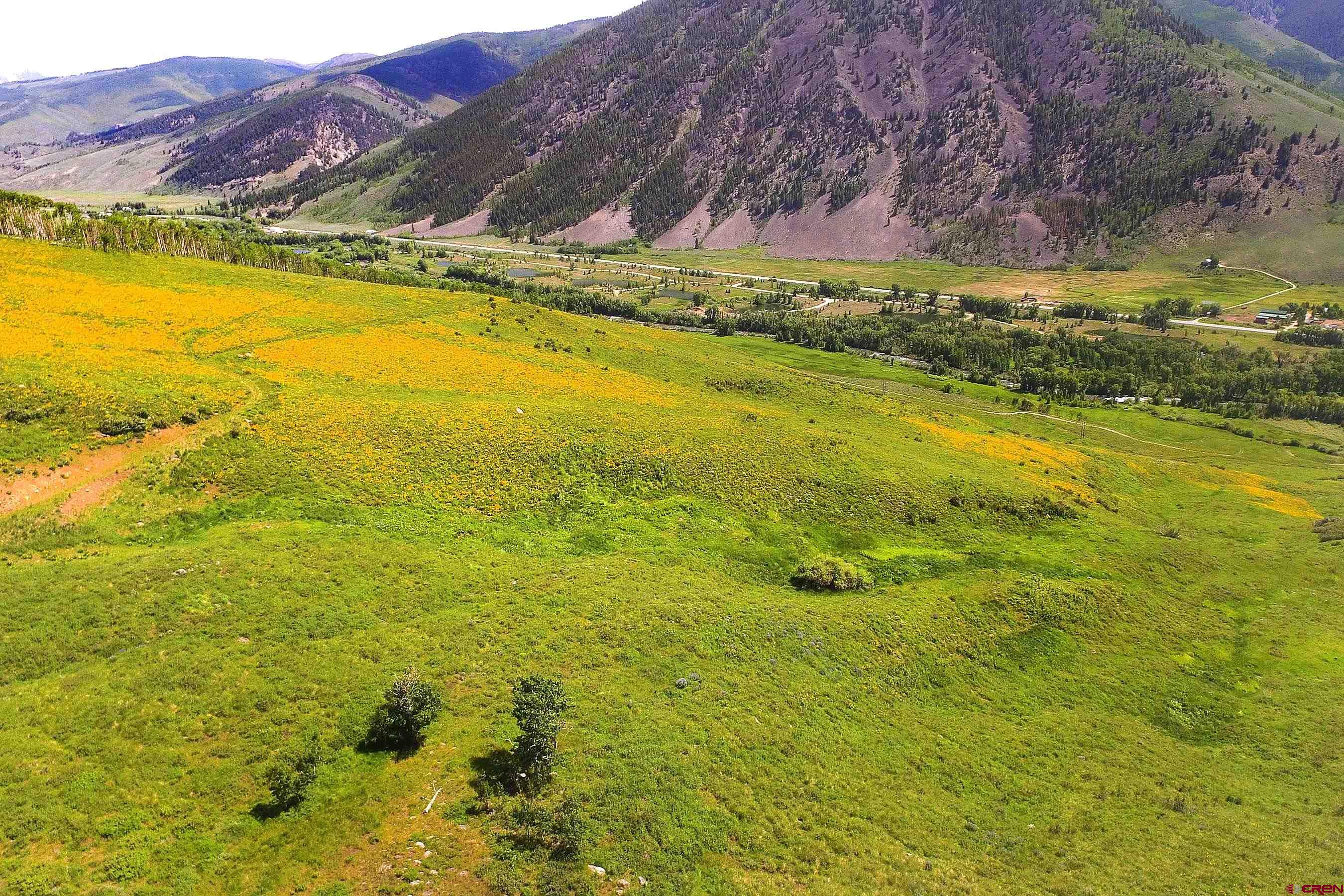 901 Red Mountain Road Almont, CO 81210 - Photo 10 of 12