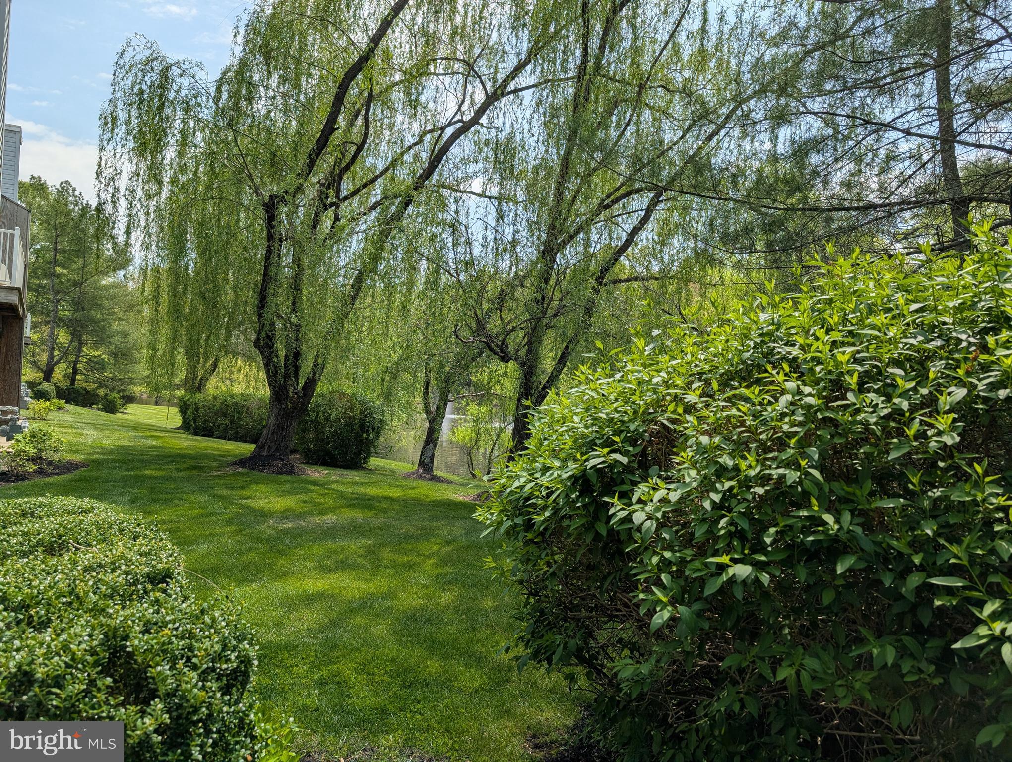 1009 Squirrel Road Marlton, NJ 08053 - Photo 26 of 29 a view of a field with a tree
