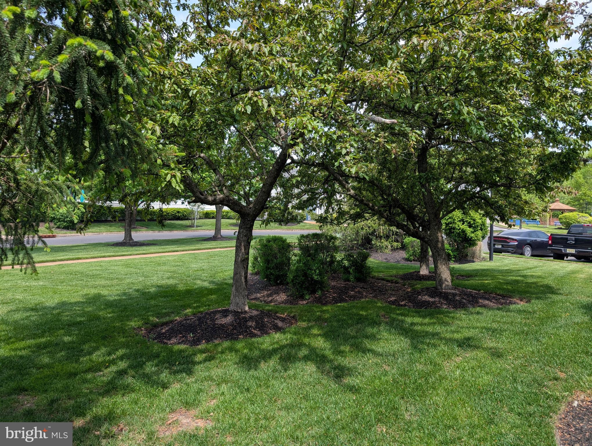 1009 Squirrel Road Marlton, NJ 08053 - Photo 27 of 29 a huge green field with lots of trees