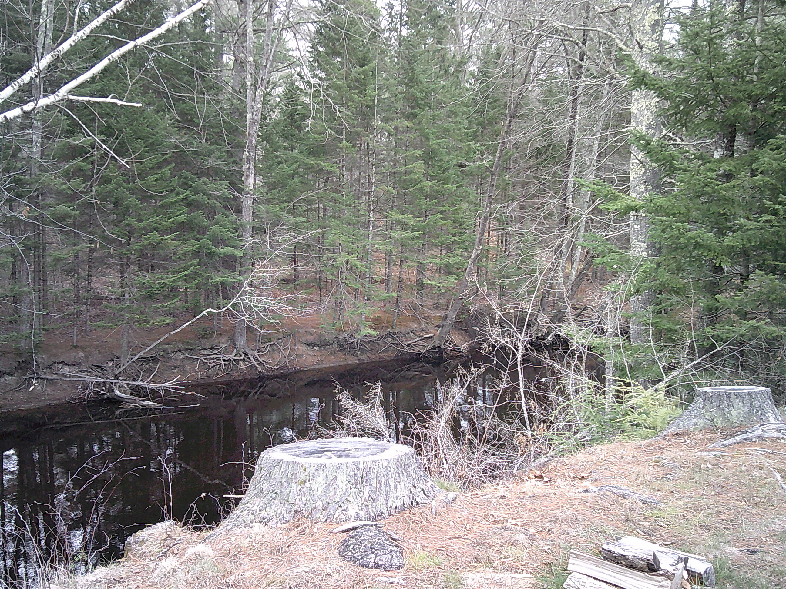 35 McIntire Road Waterford, ME 04088 - Photo 44 of 53 DSCF0067