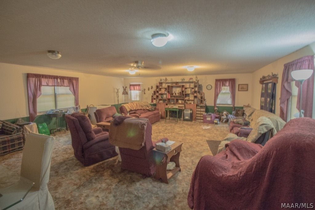 726 Spring Creek Road Geneva, AL 36340 - Photo 17 of 34 Gallery Image 17