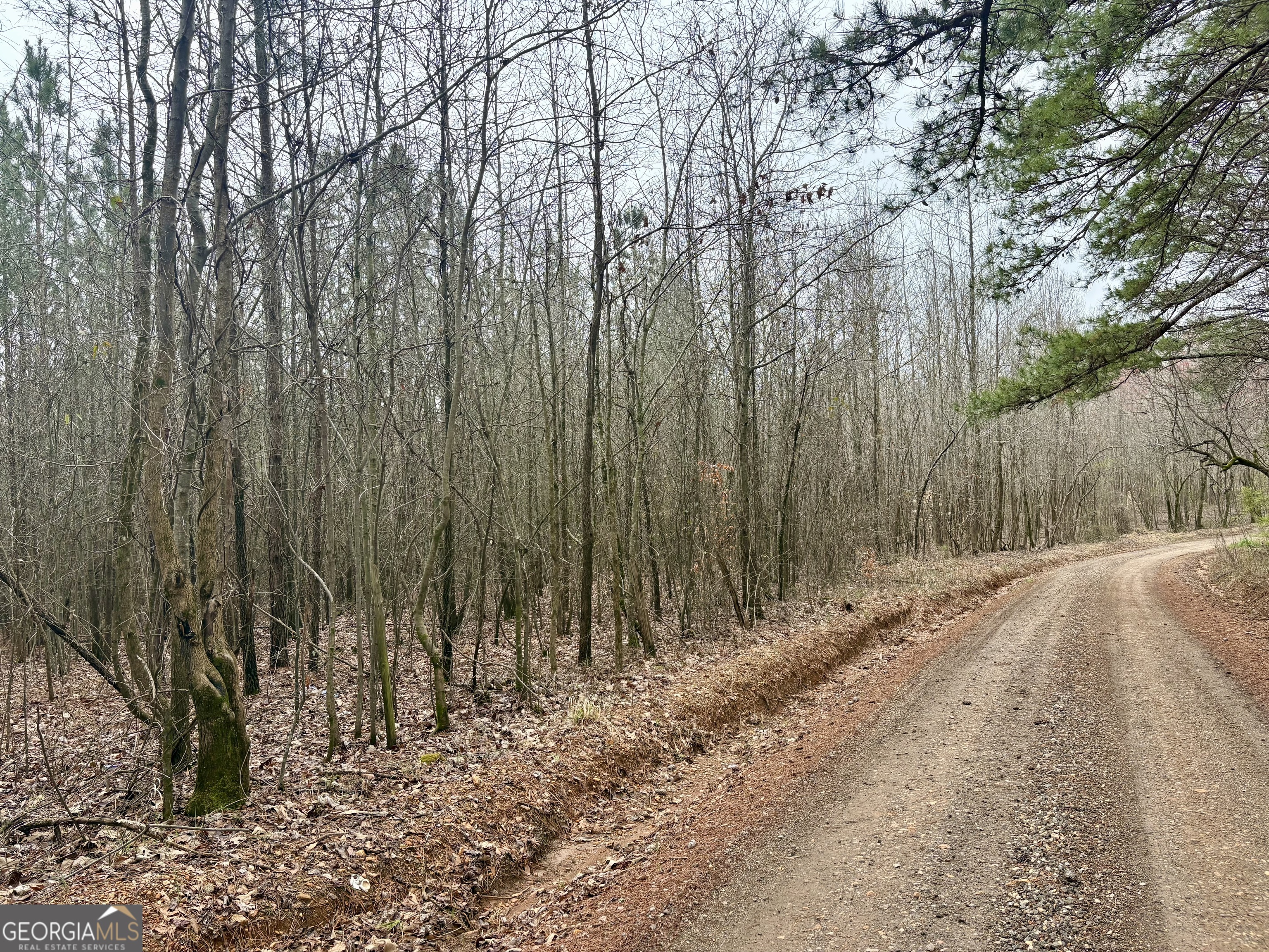 a view of a backyard of the house