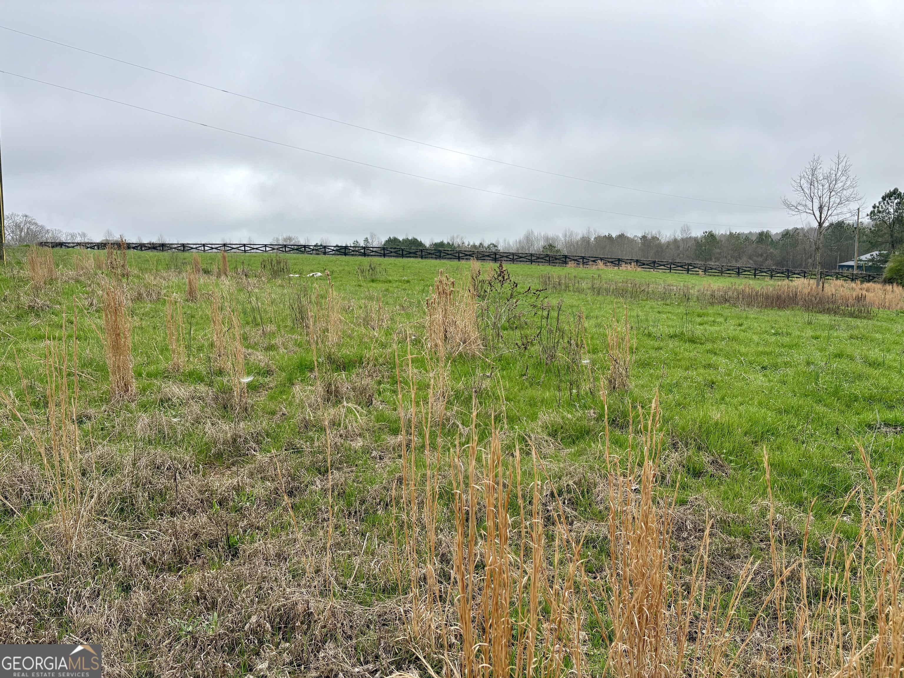 0 County Road 670 Ranburne, AL 36273 - Photo 11 of 12 a view of a large body of water with a building in the background