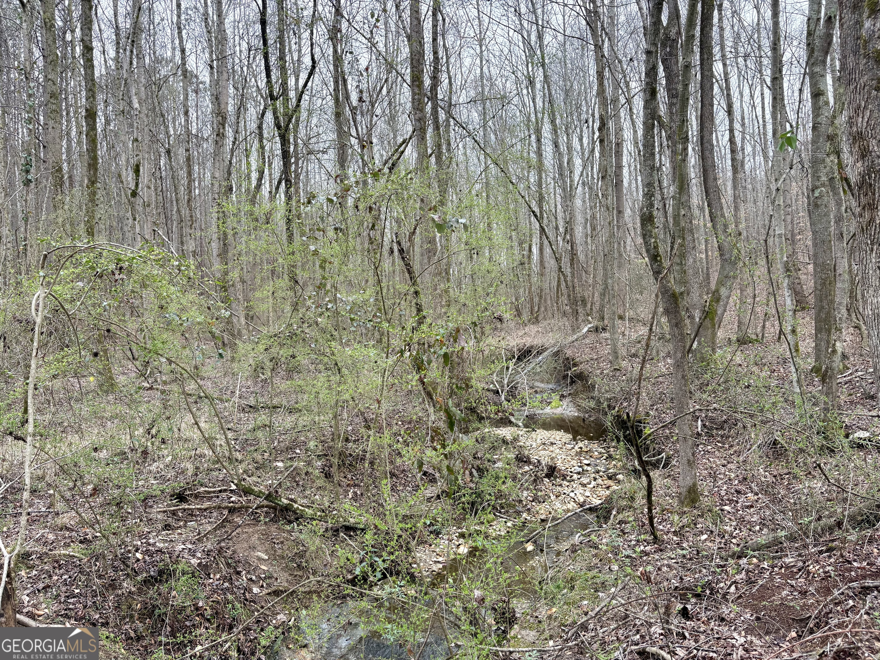 0 County Road 670 Ranburne, AL 36273 - Photo 6 of 12 a view of a yard with a wooden fence