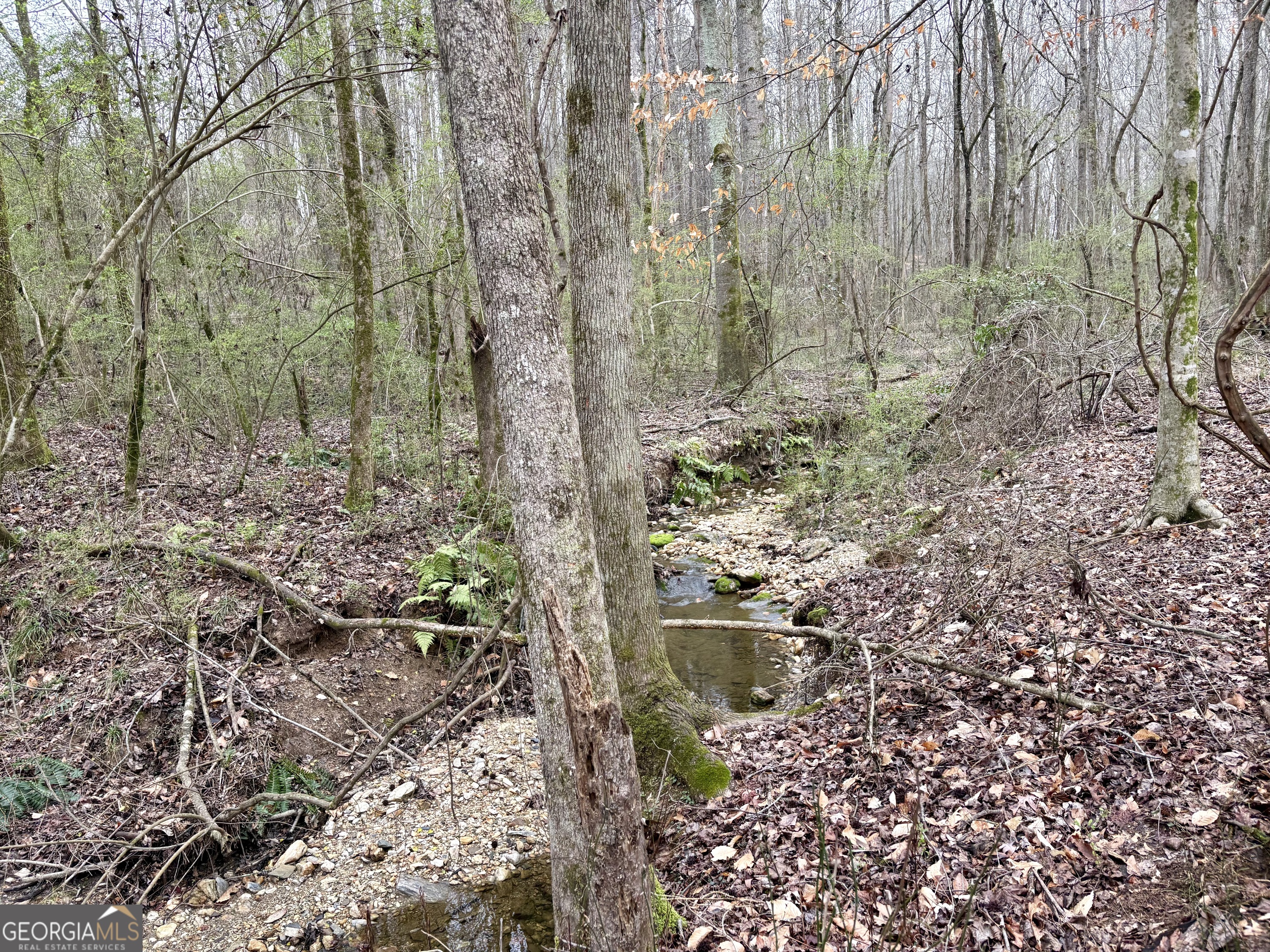 0 County Road 670 Ranburne, AL 36273 - Photo 7 of 12 a view of outdoor space and a yard