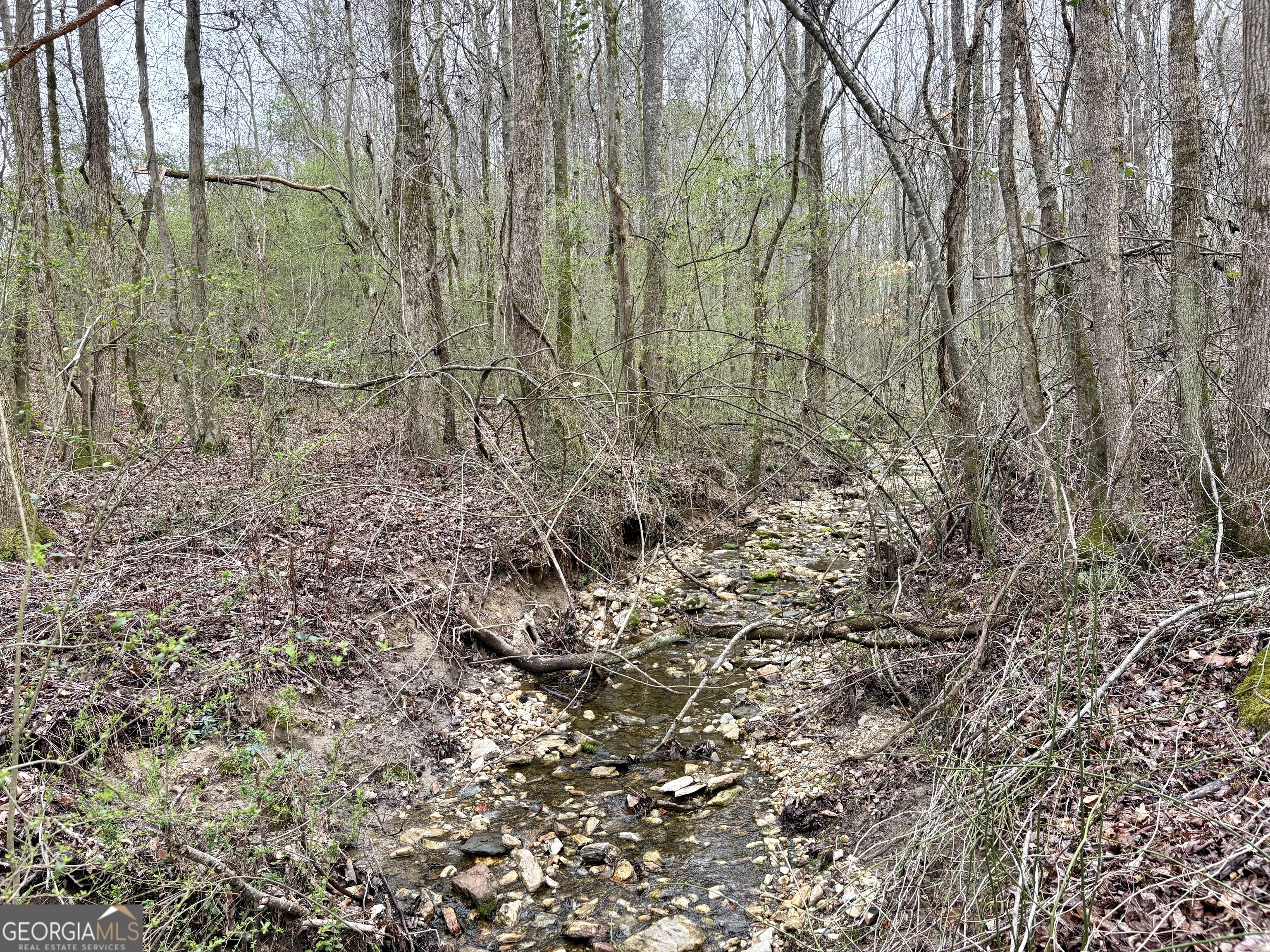 0 County Road 670 Ranburne, AL 36273 - Photo 8 of 12 a view of a yard with plants and wooden fence