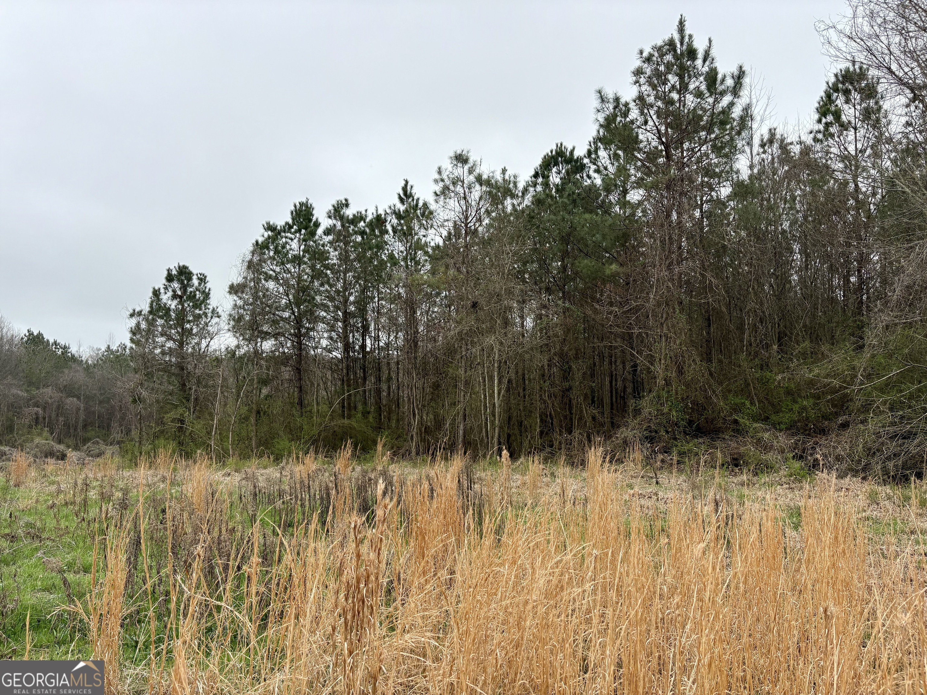 0 County Road 670 Ranburne, AL 36273 - Photo 10 of 12 a view of swimming pool with a yard