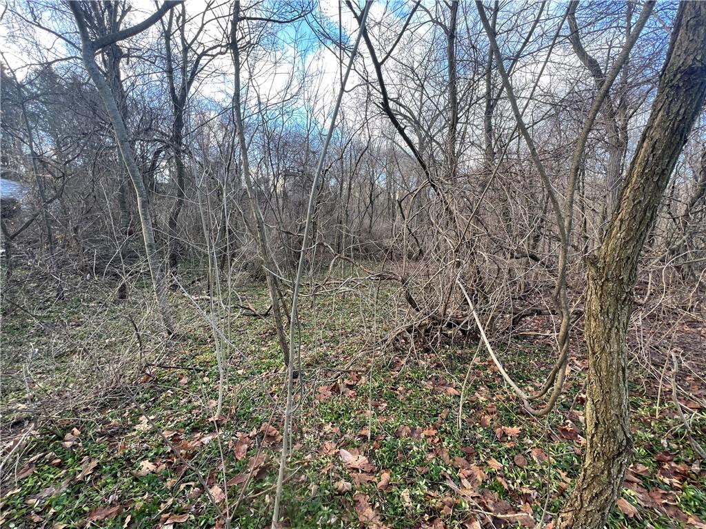 0 Spruce Drive Monaca, PA 15061 - Photo 2 of 10 a view of a yard with a tree