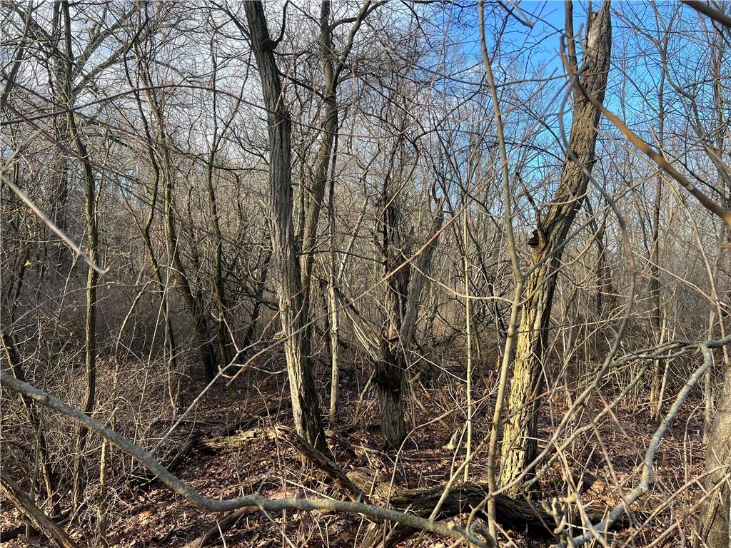 0 Spruce Drive Monaca, PA 15061 - Photo 3 of 10 a backyard of a house with lots of green space