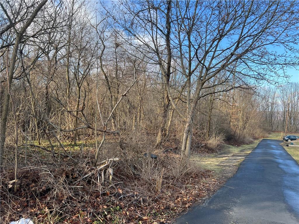 0 Spruce Drive Monaca, PA 15061 - Photo 5 of 10 a backyard of a house with lots of green space