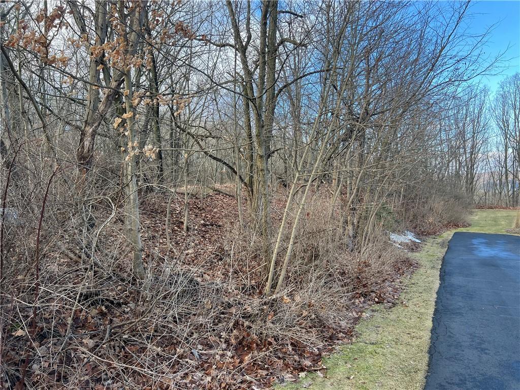 0 Spruce Drive Monaca, PA 15061 - Photo 7 of 10 a view of a yard with large trees