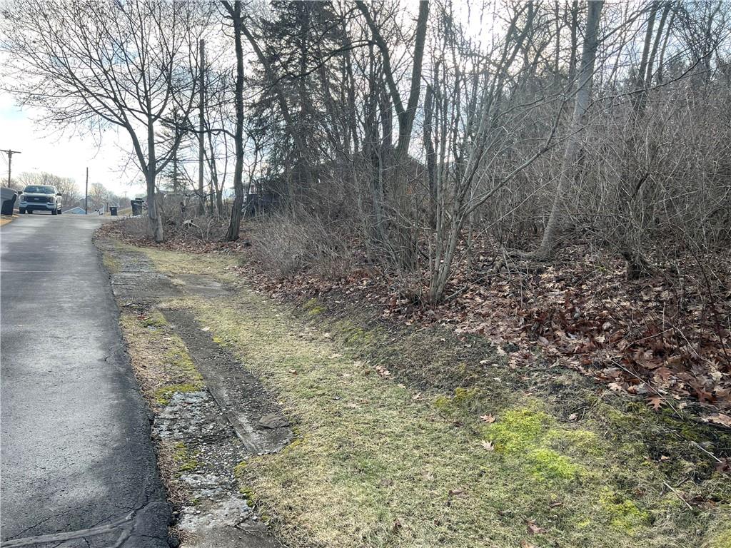 0 Spruce Drive Monaca, PA 15061 - Photo 8 of 10 a view of a yard with large trees