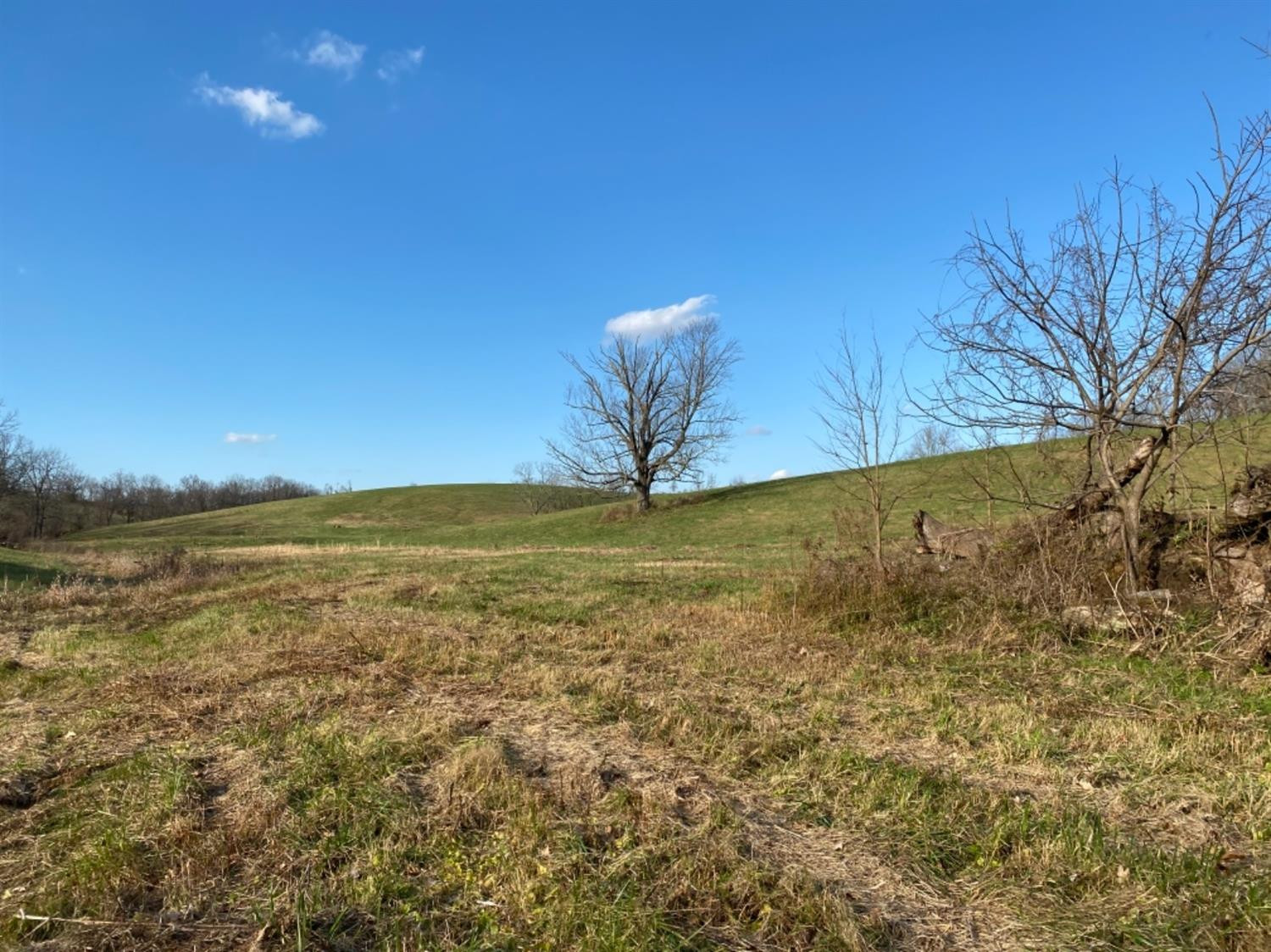 591 Rockridge Road Paris, KY 40361 - Photo 29 of 61 Photo 29