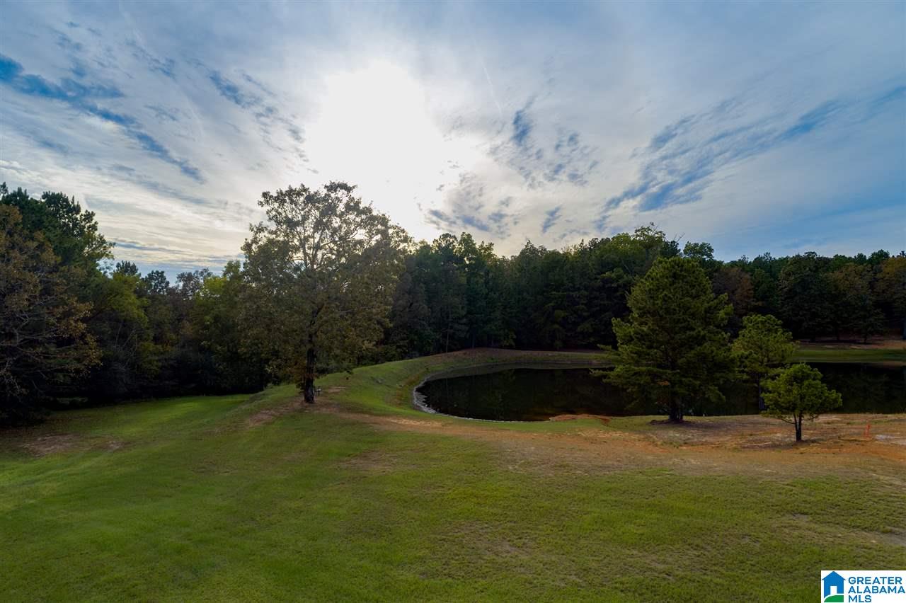 Serene Lake Road, Unit 8471 McCalla, AL 35111 - Photo 14 of 30