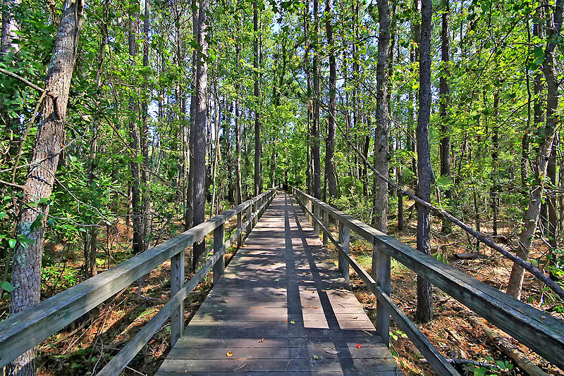 1477 Clancy Road Mount Pleasant, SC 29466 - Photo 50 of 53 Walking Trails