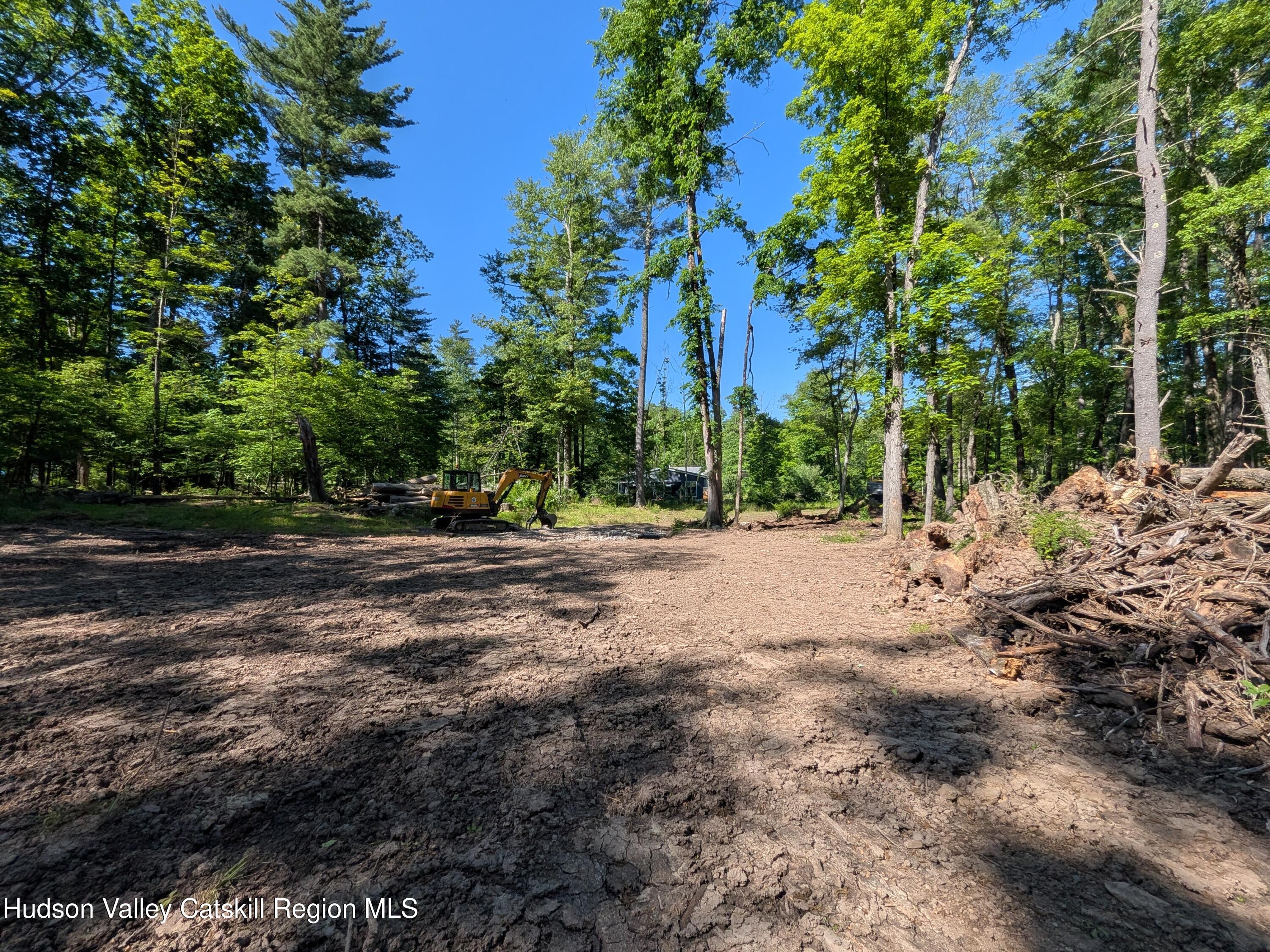 856 Berme Road High Falls, NY 12440 - Photo 11 of 18 PXL_20260602_135137389