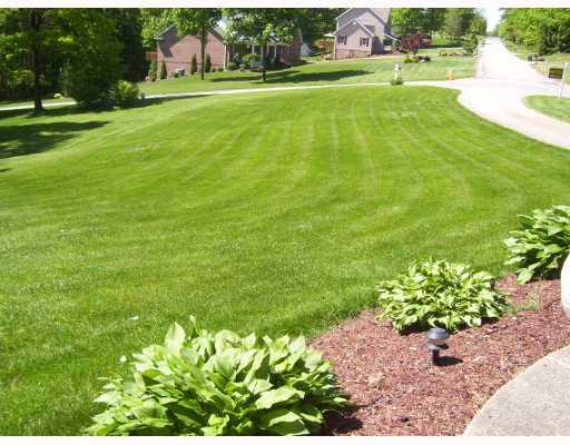 203 Laurel Way Spring Church, PA 15686 - Photo 3 of 14 Yard/Garden.