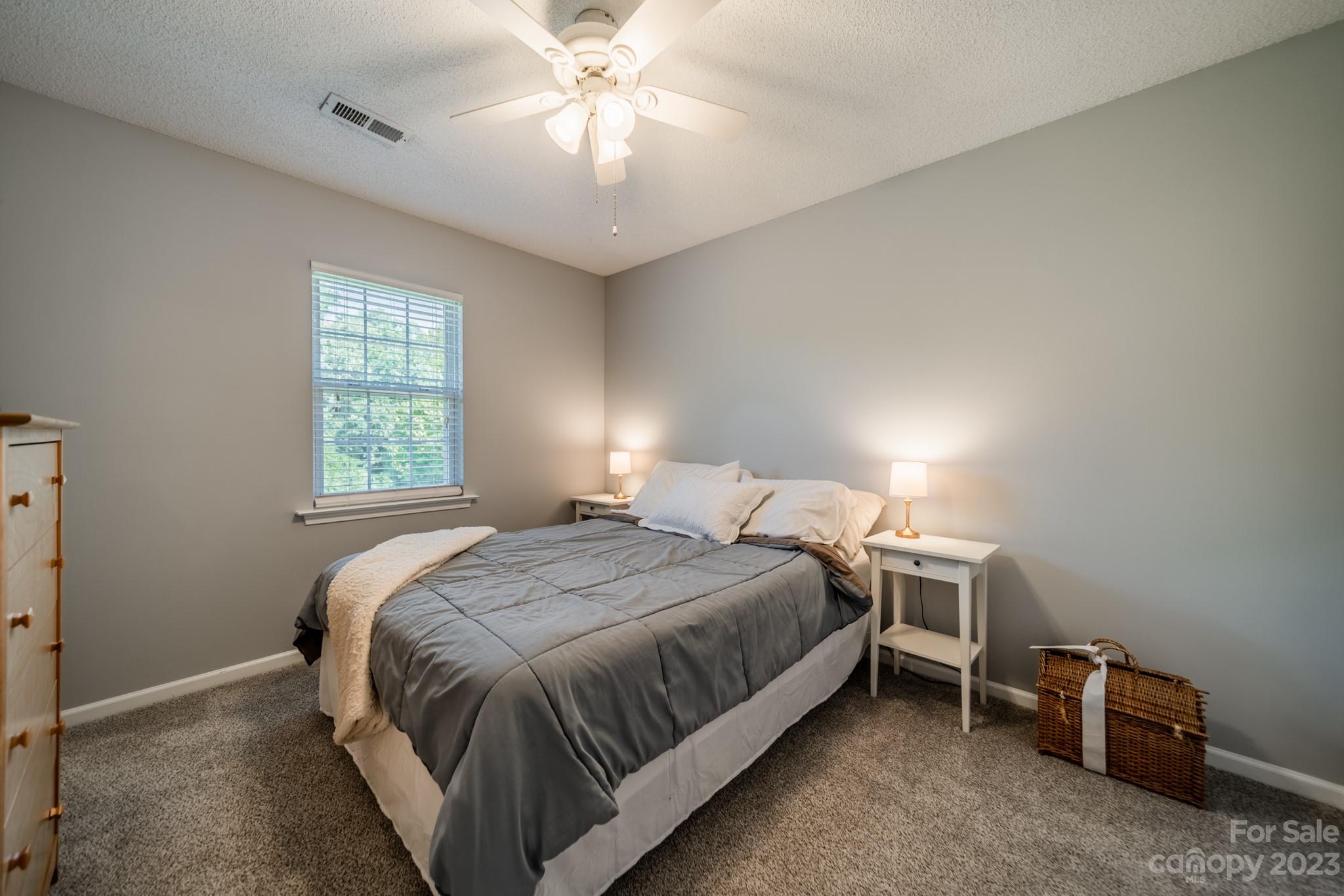107 Howe Street Belmont, NC 28012 - Photo 23 of 35 a bedroom with a bed and a chandelier