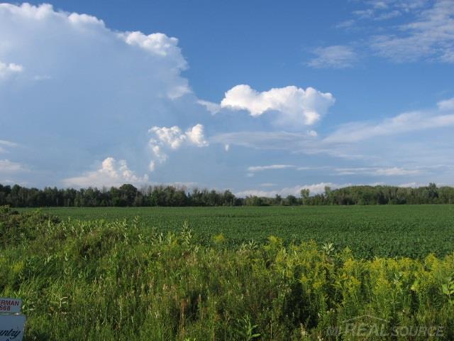 Tbd Fitch Carsonville, MI 48419 - Photo 4 of 7