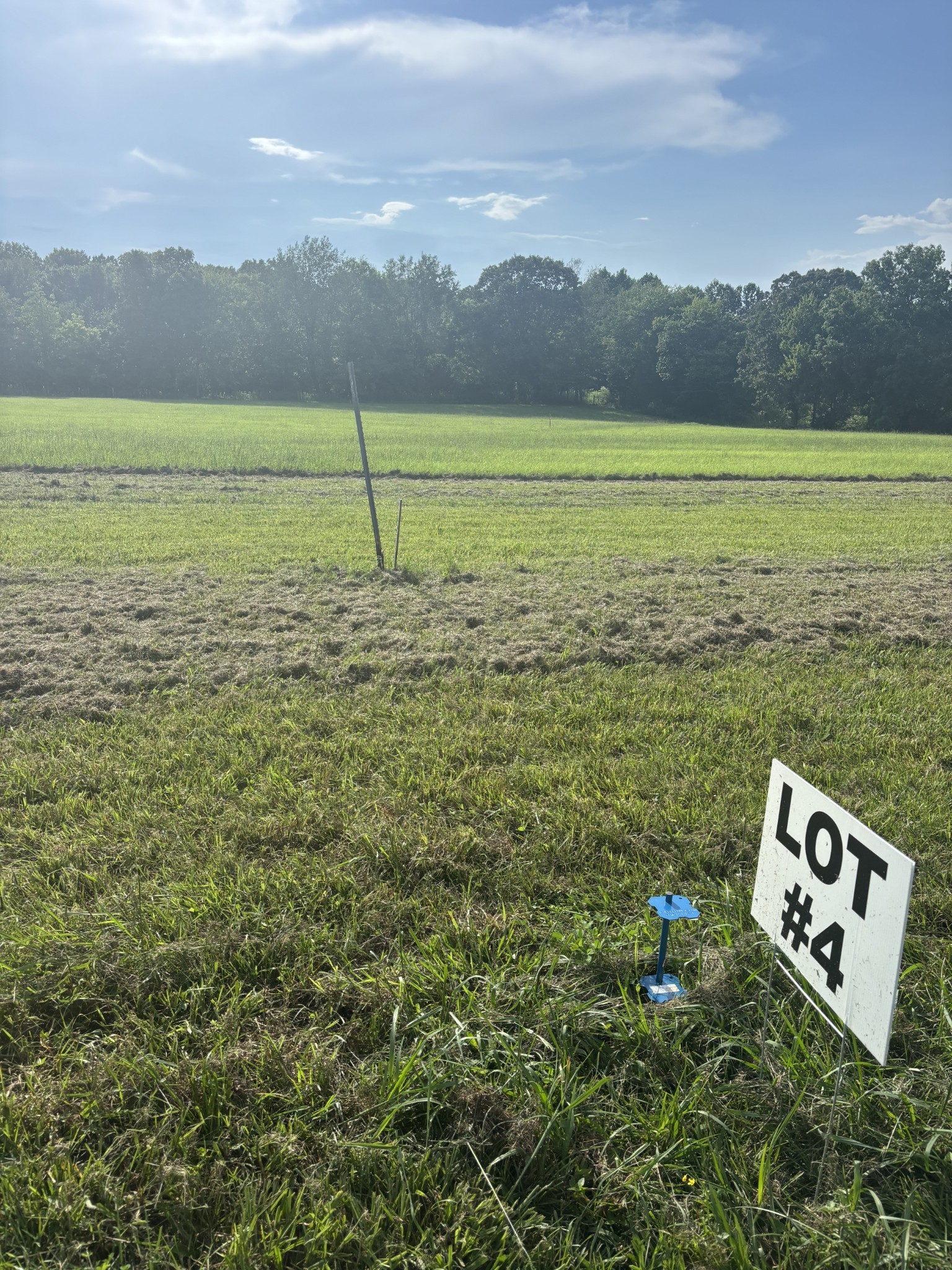 0 Pleasant Grove Road Estill Springs, TN 37330 - Photo 2 of 11