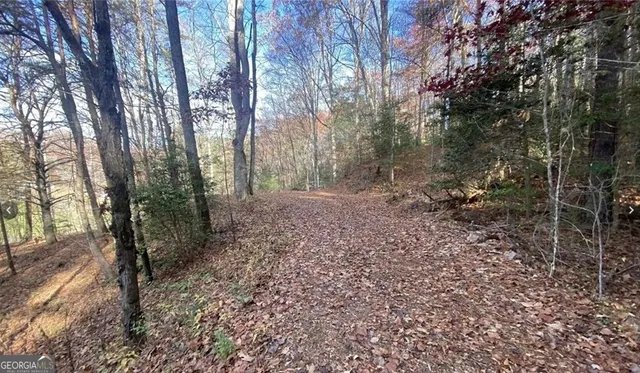 $49,999 | 1 Barefoot Hill Road, Hiawassee, GA 30546