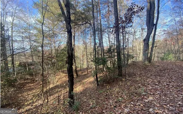 $49,999 | 1 Barefoot Hill Road, Hiawassee, GA 30546