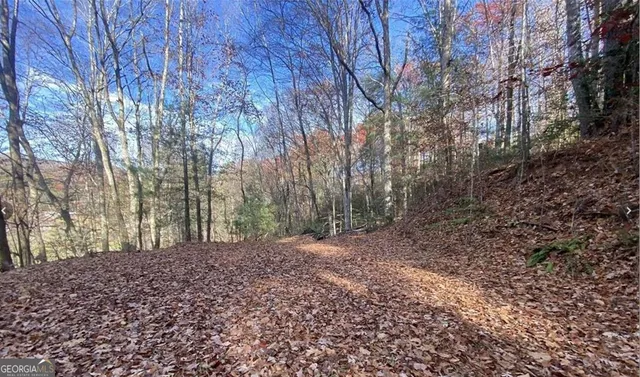 $49,999 | 1 Barefoot Hill Road, Hiawassee, GA 30546