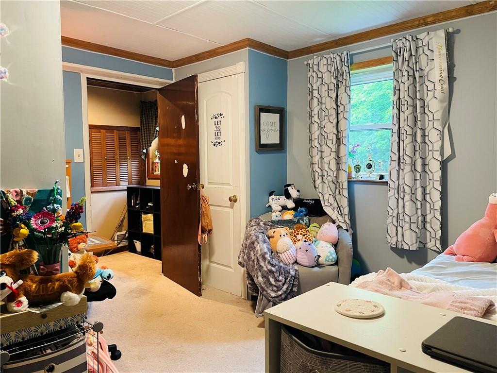 455 Mount Morris Road Waynesburg, PA 15370 - Photo 22 of 24 Gallery Image 22