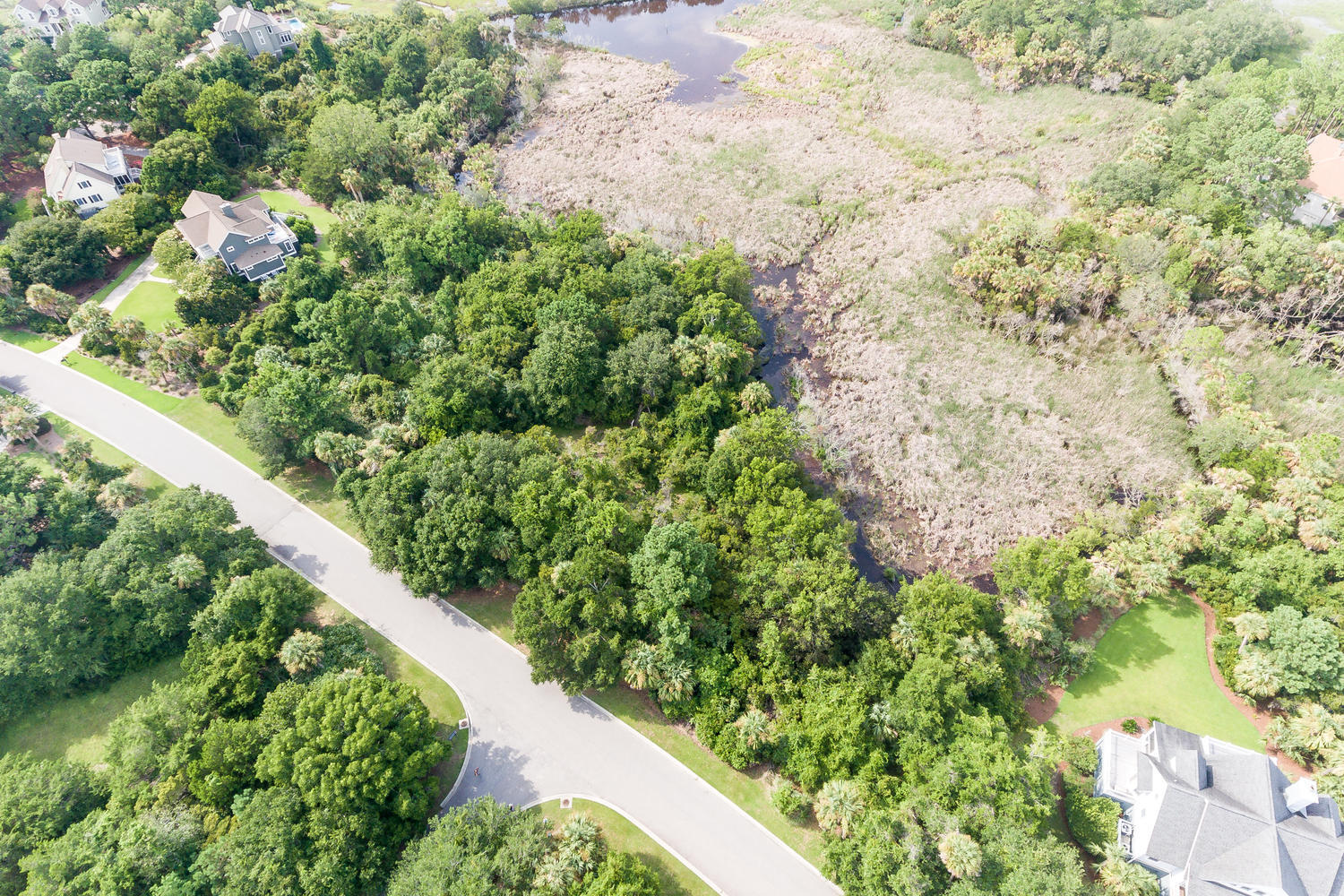 2612 Jenkins Point Road Seabrook Island, SC 29455 - Photo 12 of 30 2612 Jenkins Point Rd Seabrook-012-14-DJ