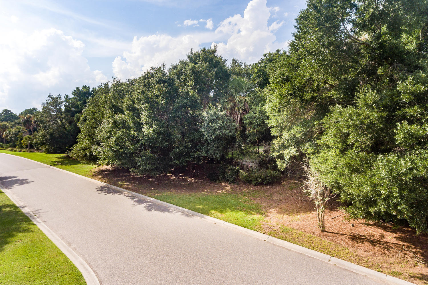 2612 Jenkins Point Road Seabrook Island, SC 29455 - Photo 15 of 30 2612 Jenkins Point Rd Seabrook-015-9-DJI