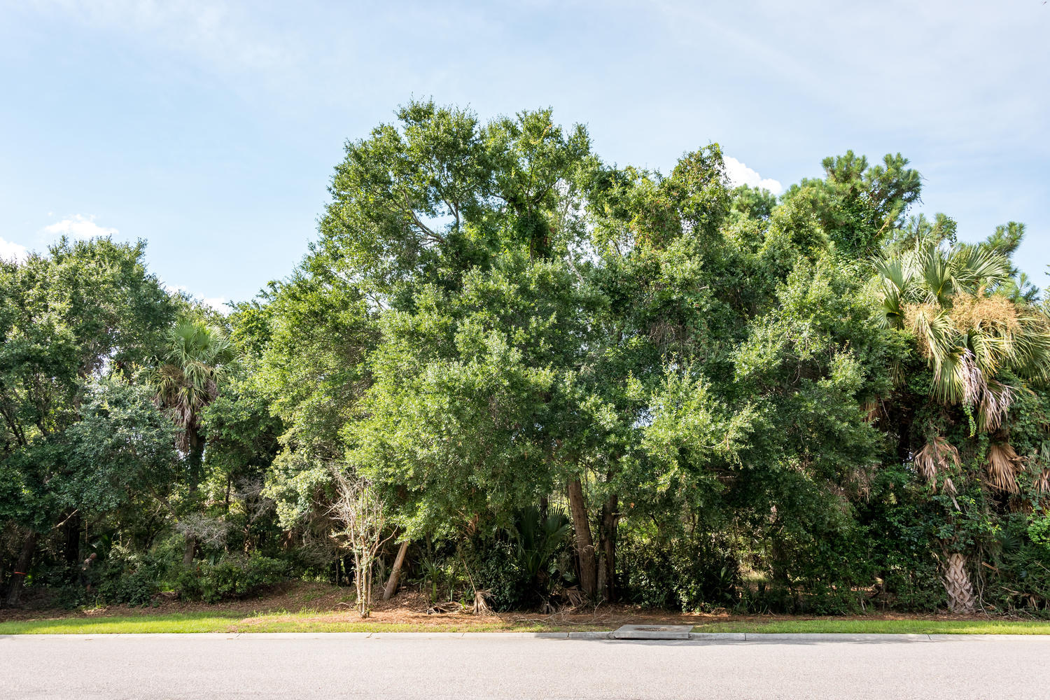 2612 Jenkins Point Road Seabrook Island, SC 29455 - Photo 16 of 30 2612 Jenkins Point Rd Seabrook-016-20-DK