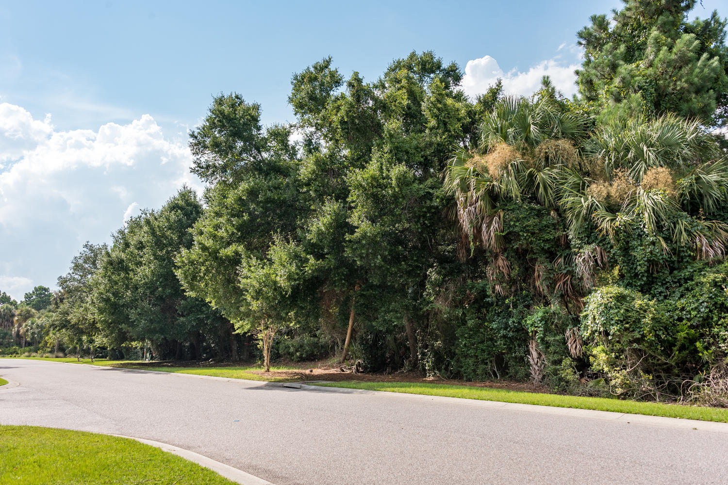 2612 Jenkins Point Road Seabrook Island, SC 29455 - Photo 18 of 30 2612 Jenkins Point Rd Seabrook-018-16-DK