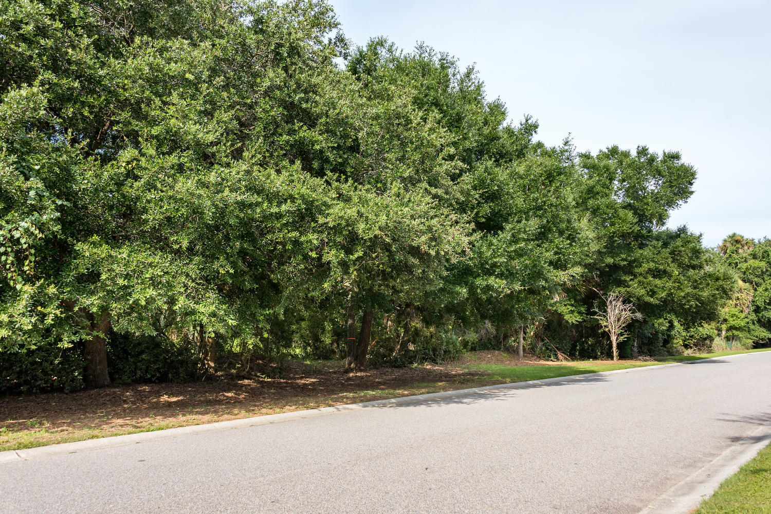 2612 Jenkins Point Road Seabrook Island, SC 29455 - Photo 19 of 30 2612 Jenkins Point Rd Seabrook-019-21-DK