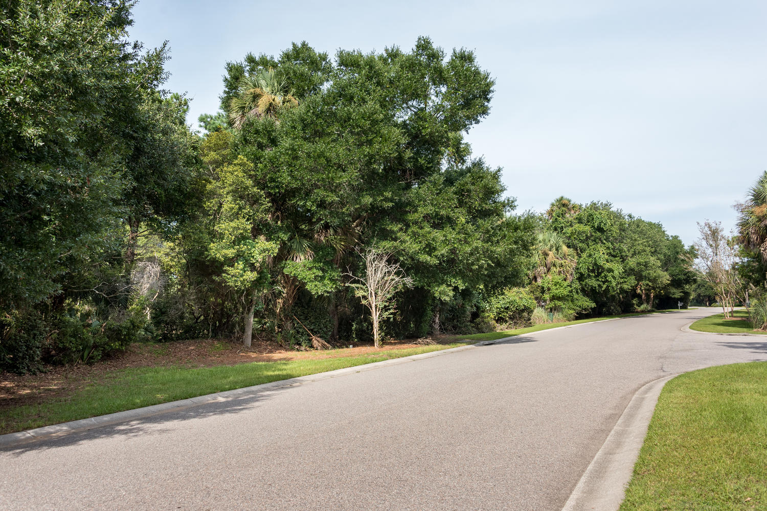 2612 Jenkins Point Road Seabrook Island, SC 29455 - Photo 21 of 30 2612 Jenkins Point Rd Seabrook-021-18-DK